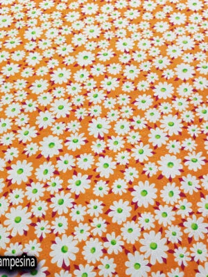 Popelina campesina | Margaritas Naranja #1